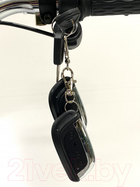 Изображение товара Электровелосипед Green Camel Транк 20 V8 PRO 60V 2х подвес (серебристый)