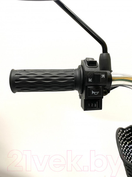 Изображение товара Электровелосипед Green Camel Транк 20 V8 250W 60V 10Ah редуктор (серебристый)