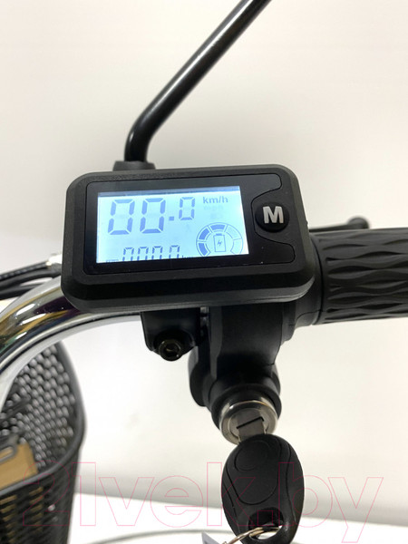 Изображение товара Электровелосипед Green Camel Транк 20 V8 250W 60V 10Ah редуктор (серебристый)