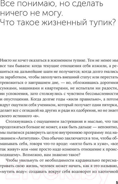Изображение товара Книга Альпина Таинственный лес / 9785961482355 (Давыдова Е.)