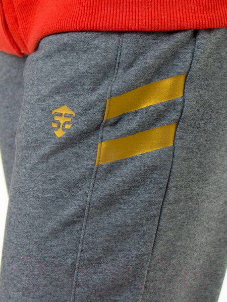 Изображение товара Спортивный костюм детский Isee DF55867 (р-р 30/122-128, персиковый/серый)