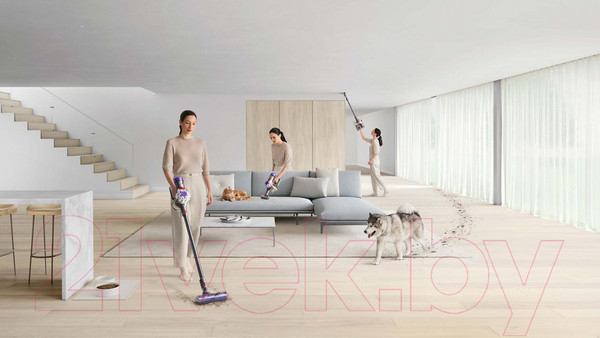 Изображение товара Вертикальный пылесос Dyson V8 2023 (Nickel/Silver)