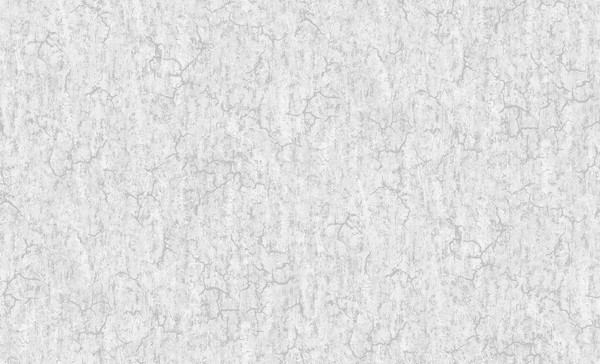 Изображение товара Виниловые обои Erismann Nevada 60689-06