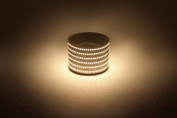 Изображение товара Светодиодная лента ЭРА LS2835 19.2-240-12-3000K-IP20-1 year-5m / Б0059906