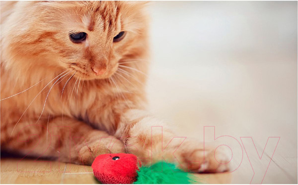 Изображение товара Набор игрушек для кошек Petstages Клубнички / 70394M