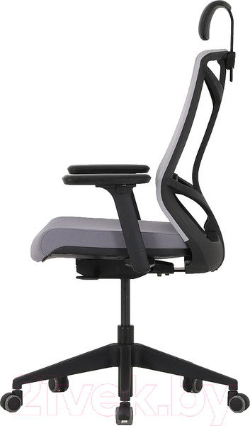 Изображение товара Кресло офисное Chair Meister Nature II 3D с подлокотниками слайдер (черный/серый)