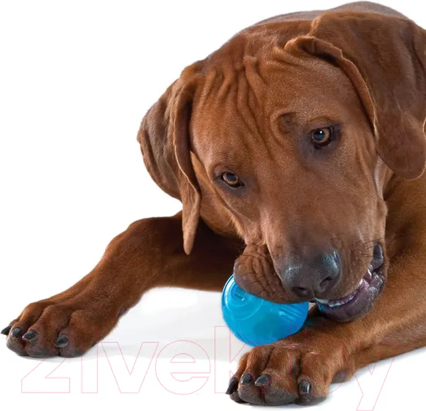 Изображение товара Игрушка для собак Petstages Орка Теннисный мяч / 235REX