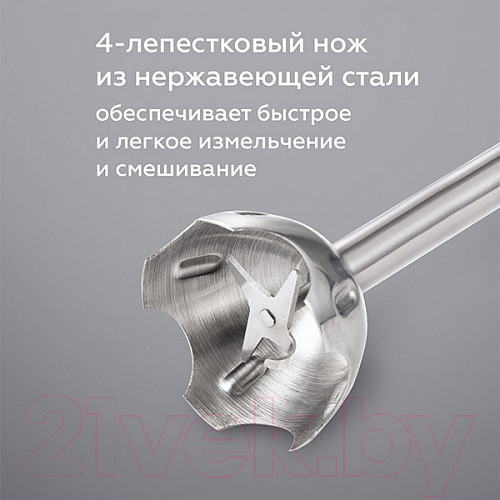 Изображение товара Блендер погружной BQ HB1031SS (черный)
