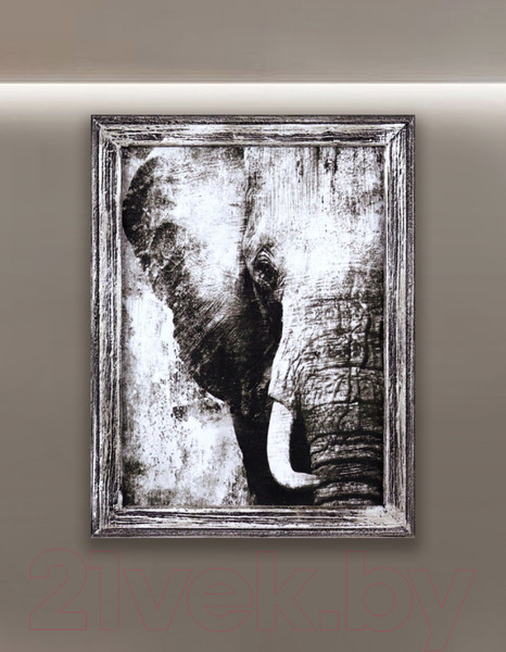 Изображение товара Картина Декарт Слон в черно-белых тонах 8Л3699  (в раме)