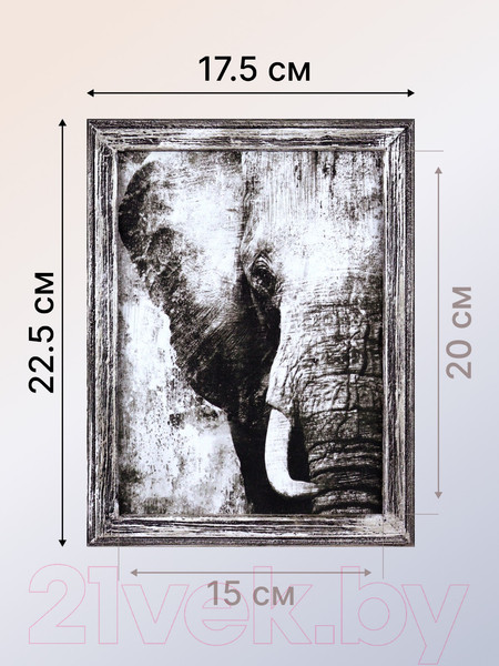 Изображение товара Картина Декарт Слон в черно-белых тонах 8Л3699  (в раме)