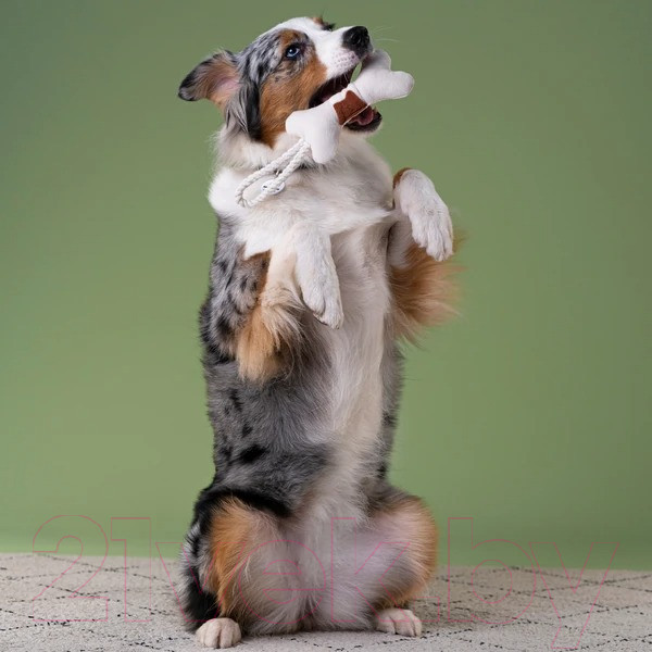 Изображение товара Игрушка для собак Mr. Kranch Косточка с канатом / MKR80247 (бежево-пятнистый)