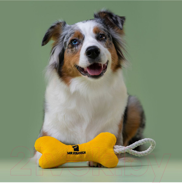 Изображение товара Игрушка для собак Mr. Kranch Косточка с канатом / MKR80247 (бежево-пятнистый)