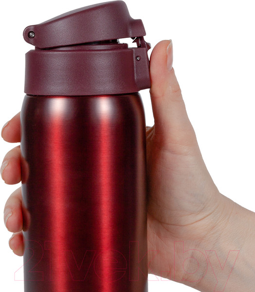 Изображение товара Термокружка Relaxika 701 (480мл, бордовый)