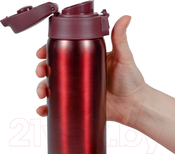 Изображение товара Термокружка Relaxika 701 (480мл, бордовый)