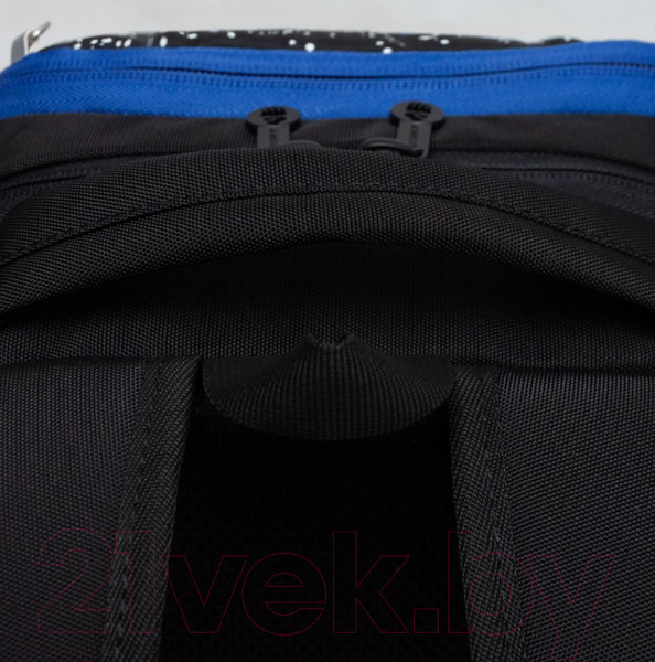 Изображение товара Школьный рюкзак Grizzly RB-451-2 (черный)