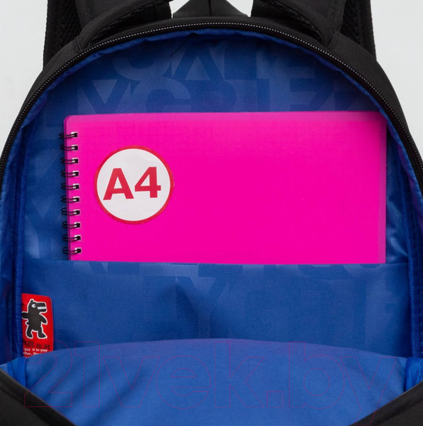 Изображение товара Школьный рюкзак Grizzly RB-451-2 (черный)