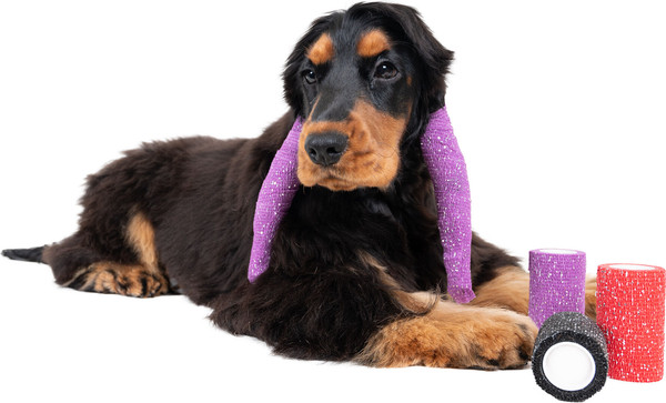 Изображение товара Бандаж-антистресс для животных Show Tech 65STE679