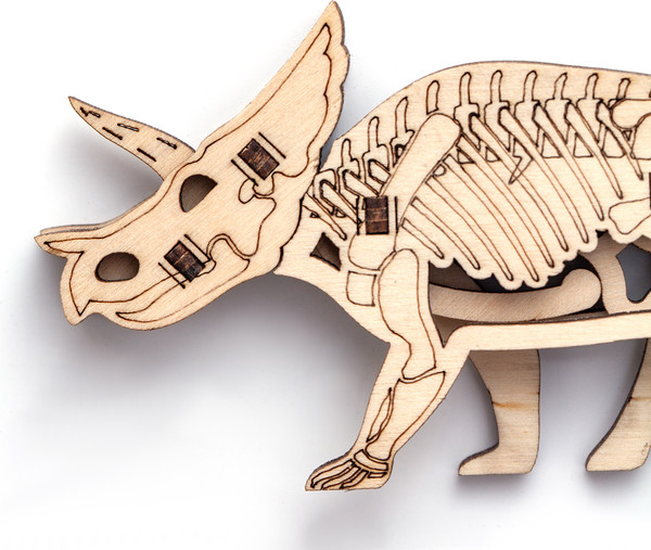 Изображение товара Сборная модель Drovo Трицератопс Брон / DR006