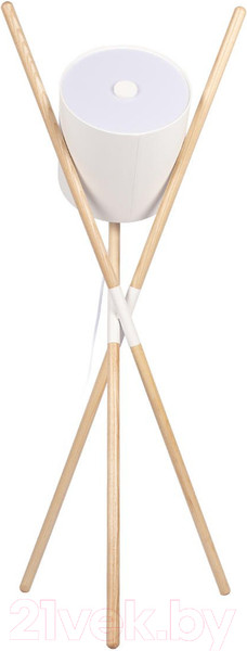 Изображение товара Торшер Loftit 10245F (белый)