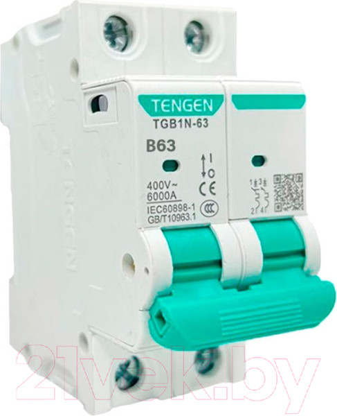 Изображение товара Выключатель автоматический Tengen TGB1N-63 2P 63A B 6kA 2M / TGB1N-63-2-63B
