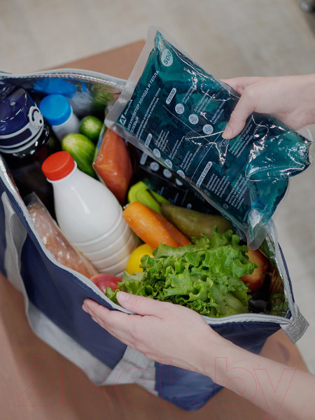 Изображение товара Аккумулятор холода Арктика АХТ-500 / AXT-L