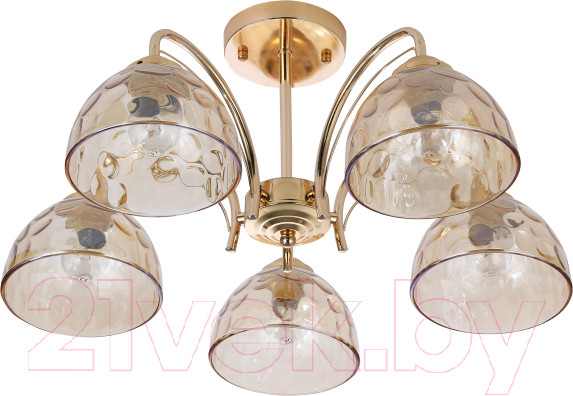 Изображение товара Люстра Rivoli Terri 9172-305 / Б0060989