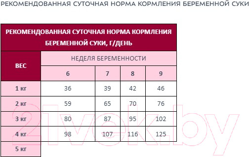 Изображение товара Сухой корм для собак Award Puppy Small с ягненком и индейкой / 7173297 (800г)