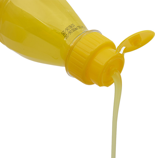 Изображение товара Шампунь для животных Iv San Bernard Fruit of the Groomer Ginger&Elderbery против раздражений (1л)