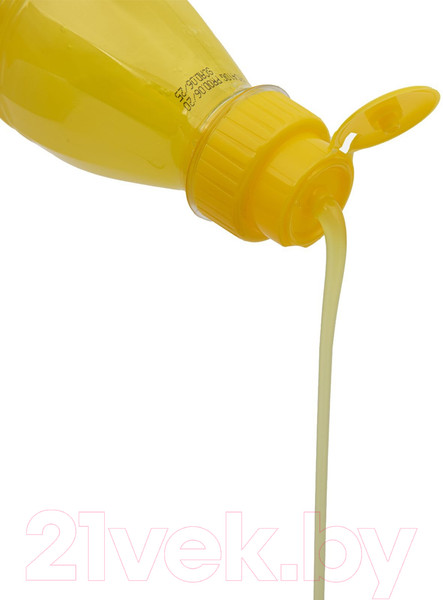 Изображение товара Шампунь для животных Iv San Bernard Fruit Of The Groomer Ginger&Elderbery против раздражений (100мл)