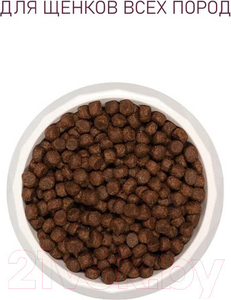 Изображение товара Сухой корм для собак Award Puppy All Breed с ягненком и индейкой / 7173365 (800 г)