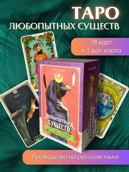 Изображение товара Гадальные карты Эксмо Таро любопытных существ / 9785041802349