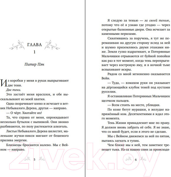 Изображение товара Книга Эксмо Тень Тьмы / 9785041816520 (Сент Кроу Н.)