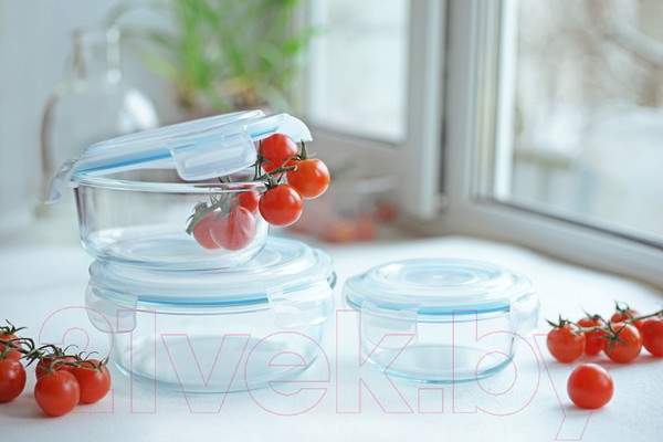 Изображение товара Контейнер Eley ELEC6009L (лазурный)