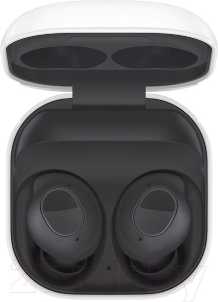Изображение товара Беспроводные наушники Samsung Galaxy Buds FE / SM-R400N (графит)