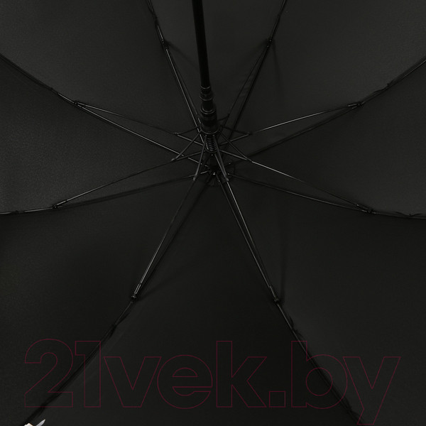 Изображение товара Зонт-трость Fabretti UGJ7001-2