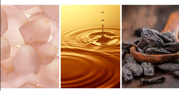 Изображение товара Парфюмерная вода Elizabeth Arden White Tea (50мл)