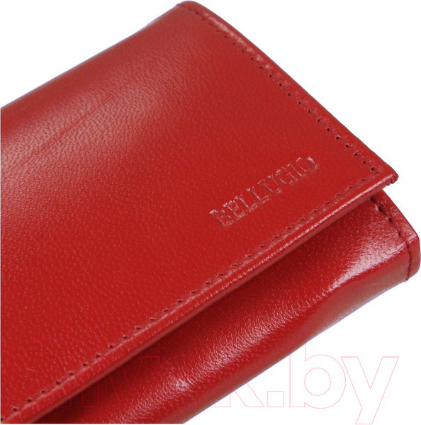 Изображение товара Портмоне Bellugio ZD-02R-063M (бордовый)
