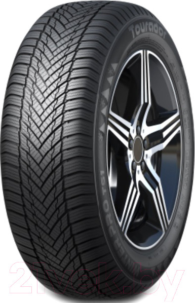 Изображение товара Зимняя шина Tourador Winter Pro TS1 205/55R16 91H
