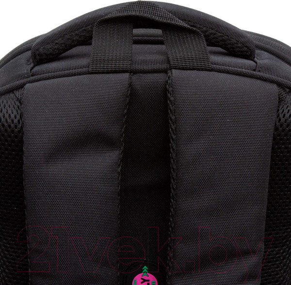 Изображение товара Школьный рюкзак Grizzly RAz-386-5 (черный)