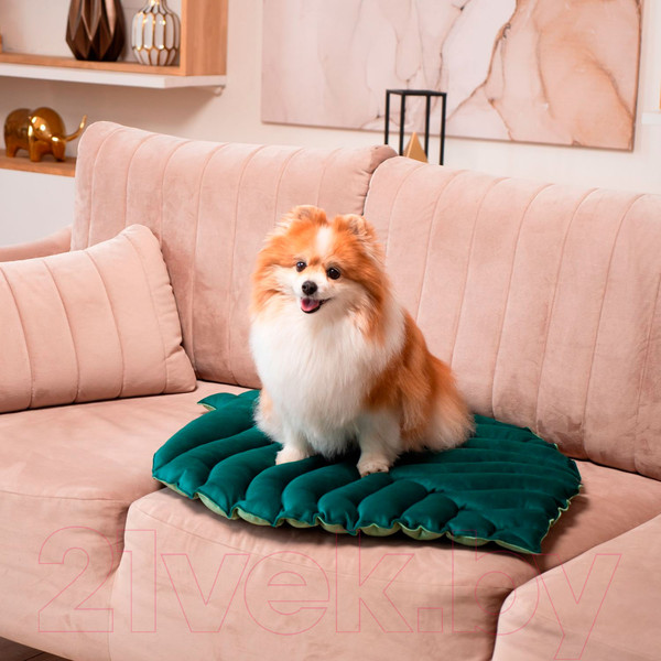 Изображение товара Матрас для животных Mr. Kranch Листочек MKR221521 (зеленый)