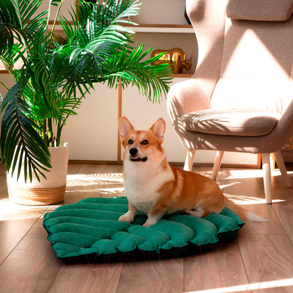 Изображение товара Матрас для животных Mr. Kranch Листочек MKR221521 (зеленый)