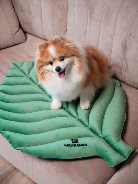 Изображение товара Матрас для животных Mr. Kranch Листочек / MKR221422 (зеленый)