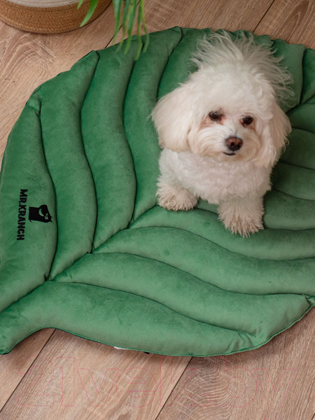 Изображение товара Матрас для животных Mr. Kranch Листочек / MKR221422 (зеленый)