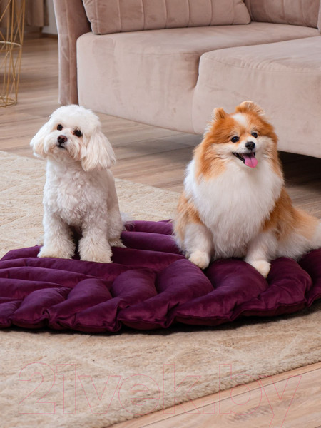 Изображение товара Матрас для животных Mr. Kranch Листочек / MKR221507 (фиолетовый)