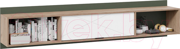 Изображение товара Шкаф навесной ТриЯ Лео ТД-410.12.21 (гикори джексон/белый матовый/дымчатый зеленый)