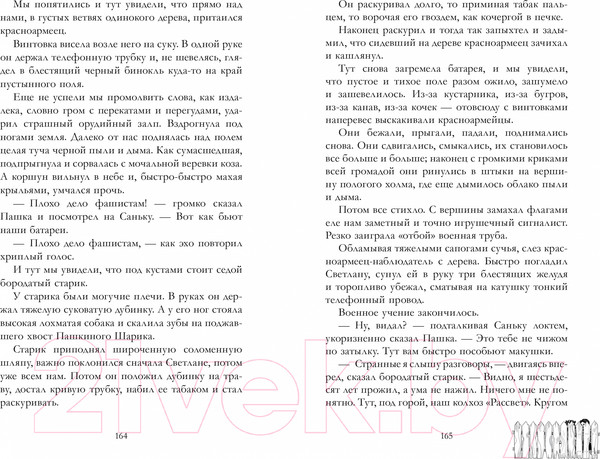 Изображение товара Книга CLEVER Военная тайна. Голубая чашка.Тимур и его команда / 9785002114511 (Гайдар А.)