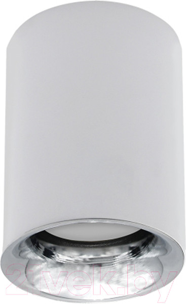 Изображение товара Потолочный светильник INhome НПБ ЦИЛИНДР-GU10-CH/WH / 4690612045535