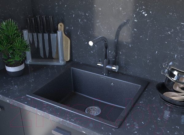 Изображение товара Мойка кухонная Paulmark PM106052-AN