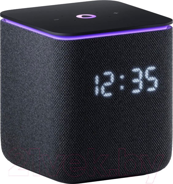 Умная колонка Яндекс Станция Миди с Zigbee YNDX-00054BLK (черный)