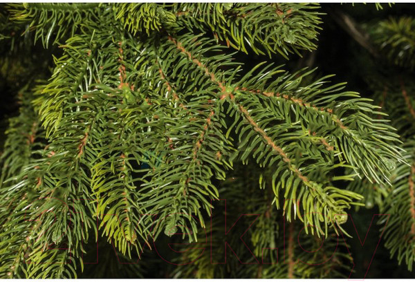 Изображение товара Ель искусственная National Tree Company Таежная / ТЖ-150 (150см)